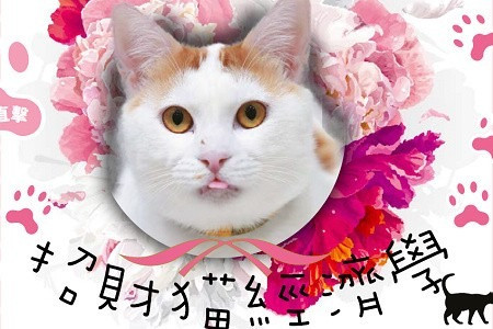 【日本直擊】招財貓經濟學