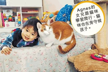 與孩共存 貓狗化身成長導師