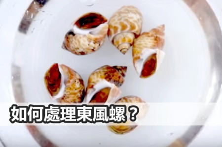 如何處理東風螺? | 生活 | etnet 經濟通|香港新聞財經資訊和生活平台
