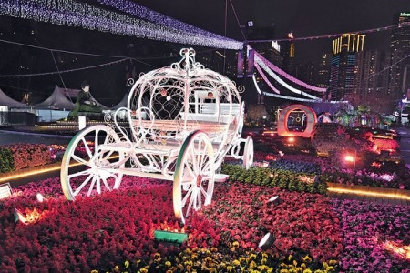 新增燈光滙演 維園花展今開幕 35萬株花爭妍