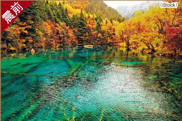 強震毁九寨溝 藍湖變泥地 19死247傷 40港人安全