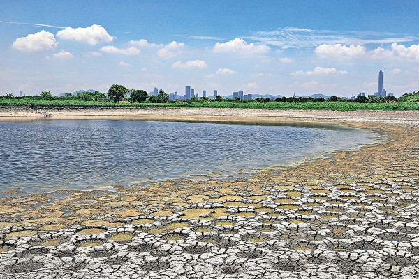 大生圍熱到乾塘 魚池驚現火星坑