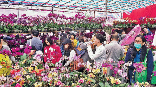 「山竹」吹散 桃花大王料年宵加價5成