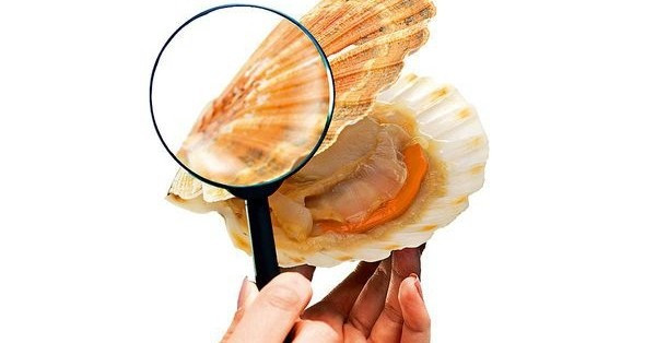 食安把關馬虎 測輻射樣本由進口商揀