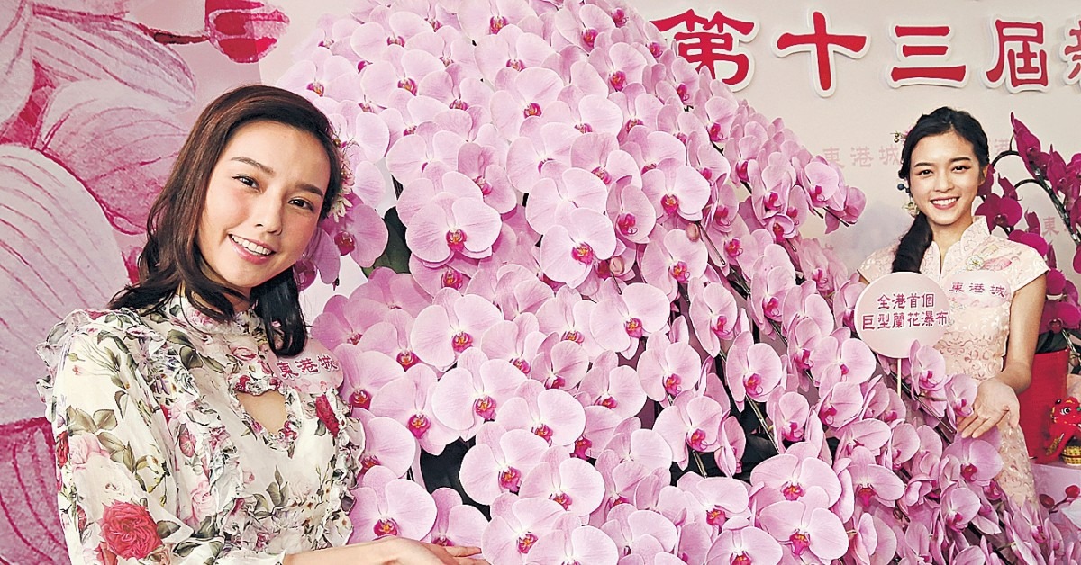 忽冷忽熱影響收成 年花加價最勁貴1倍 忽冷忽熱影響收成 年花加價最勁貴1倍