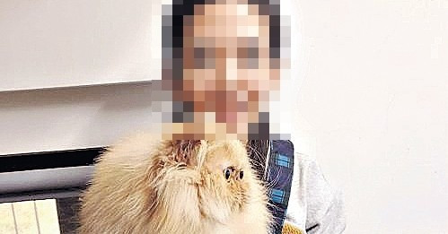 港女赴台偷2貓 扮大肚竟能過關