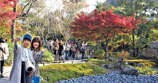 或撞正紅葉期 新日皇登基10月巡遊 遊日勢旺