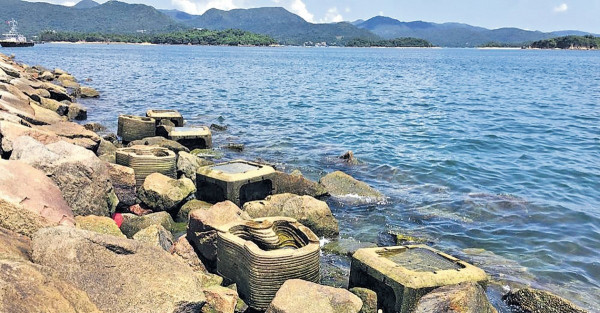 多區測試生態海堤 助海洋生物搵屋