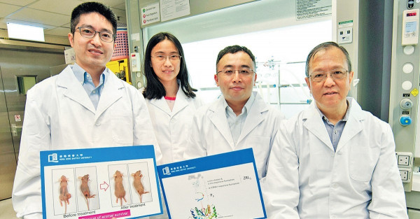 新標靶藥治鼻咽癌 動物用後存活率增8成