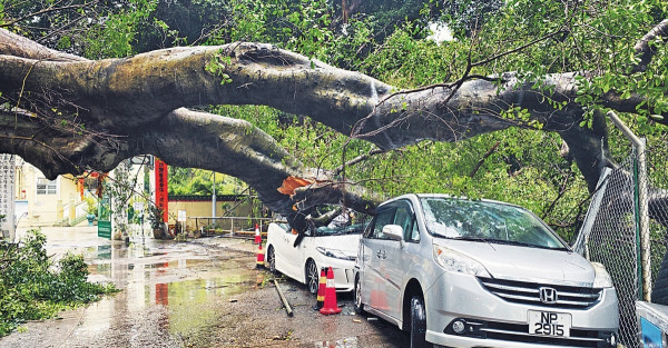 今年首個黑雨 早出門打工仔狼狽 多區水浸 屯赤隧道一度封