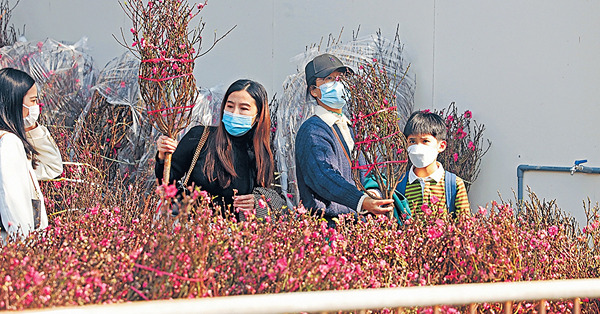 迎兔年氣氛濃 市民爽手花費辦年貨