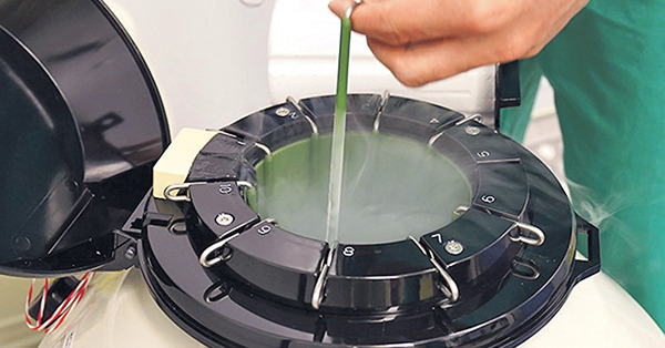 輔助生殖醫療需求增 專家：港每6對夫婦1對不育 凍卵量3年增136%