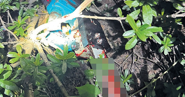 疑追劇獨出門 電鋸謀殺案包租婆遇害