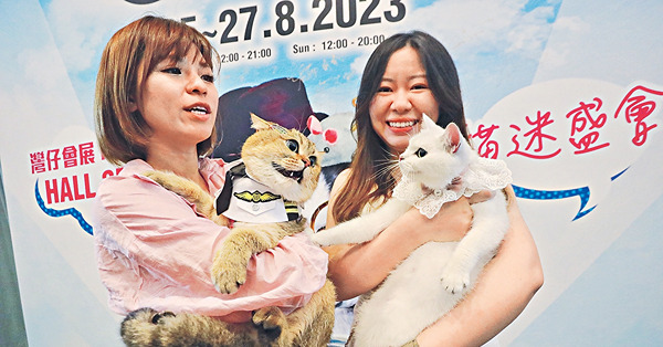 港人願花錢做 「貓奴」 月均使$1500 月底新推貓迷博覽 料吸15萬人次