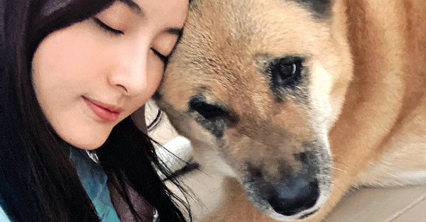 10歲愛犬患癌 林夏薇淚崩：驚狗狗醒唔番
