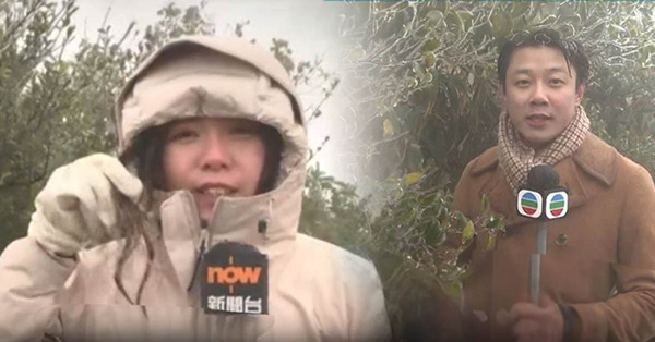 大帽山零下2度結冰！TVB記者穿絨褸報道頭髮結冰被網民笑：貪靚著絨褸？與Now TV記者衣著成對比