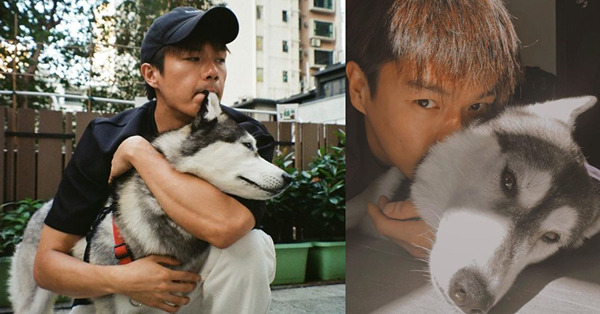 柯煒林雪橇犬大坑掙脫狗繩走失！熱心市民曾在天后巴士站見其蹤影！最終係點？