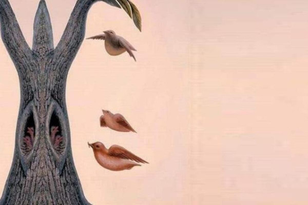 【心理測驗】你第一眼看到什麼，就決定你是什麼樣的人！