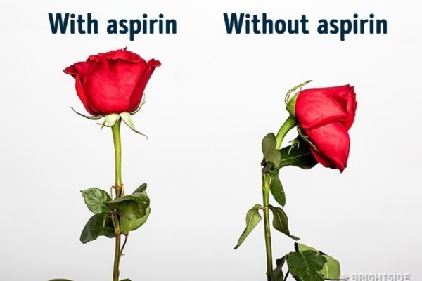 【一生受用】10個實用的生活小技巧！