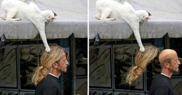 【瞬間笑爆】22張令你「一秒趕走壞心情」的爆笑照片 