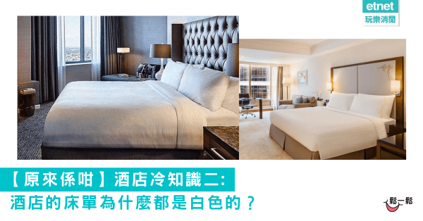 【原來係咁】酒店冷知識二: 酒店的床單為什麼都是白色的？