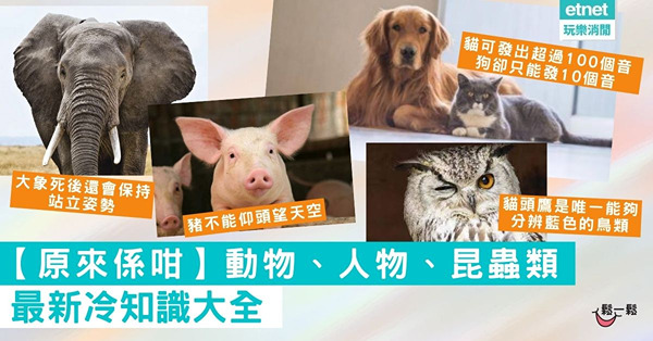 【原來係咁】最新冷知識大全│動物、人物、昆蟲類