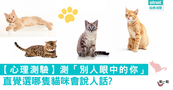 【心理測驗】測「別人眼中的你」直覺選哪隻貓咪會說人話?