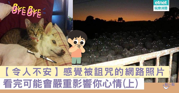 【令人不安】感覺被詛咒的網路照片(上)