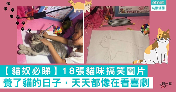 【貓奴必睇】18張貓咪搞笑圖片 養了貓的日子，天天都像在看喜劇