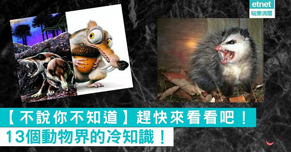 【不說你不知道】13個動物界的冷知識！趕快來看看吧！