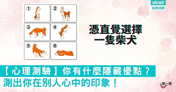 【超準心理測驗】憑直覺選擇一隻柴犬，測出你在別人心中的印象！