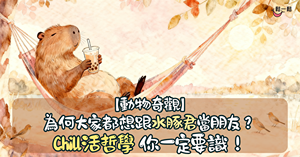 人氣文章