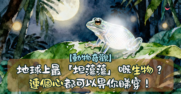 【動物奇觀】地球上最「坦蕩蕩」嘅生物？連個心都可以畀你睇穿！