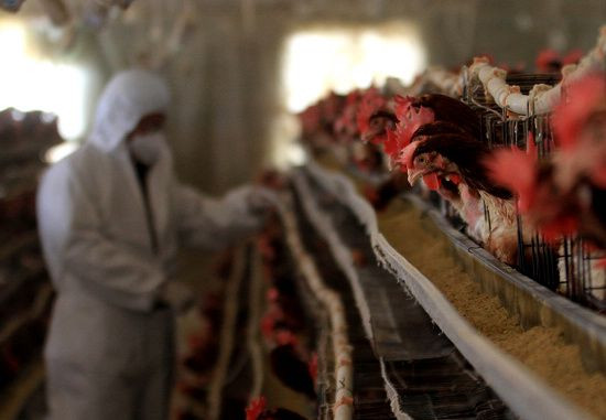 年關在即，現金為王