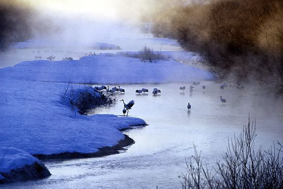 雪原仙境北海道