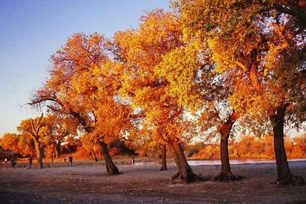 穿越最美的沙漠：巴丹吉林 (下)