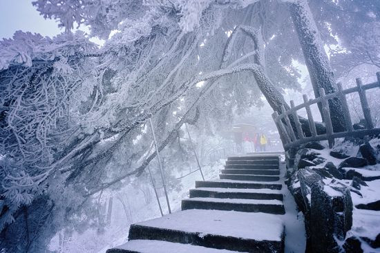 黃山的「白色聖誕」（下）