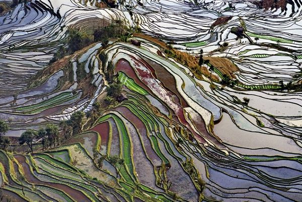 高原春之旅：無限春色在元陽梯田