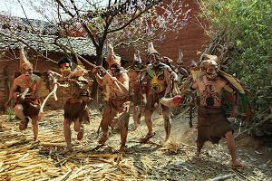 彝族阿哲人的密枝節