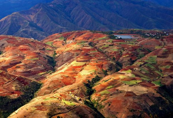 高原春之旅：紅河元江 梯田壯麗