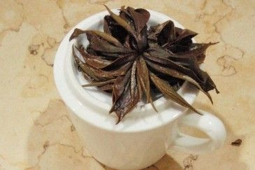 春季養顏：茶療SPA新活力