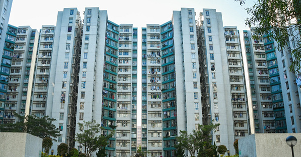 市場力量開始發放