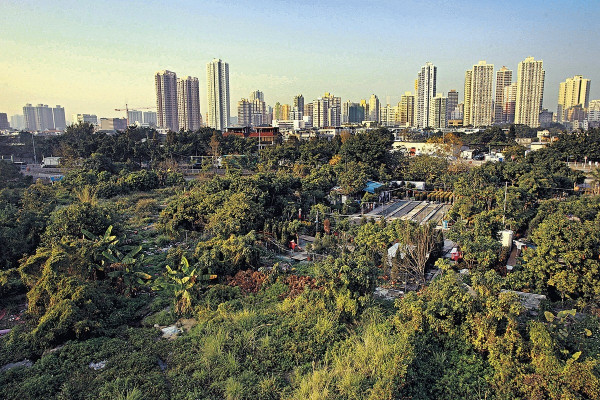 土地大辯論的幾個問題