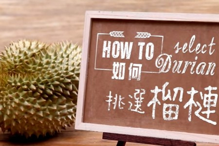 新手入門必備！如何挑選榴槤