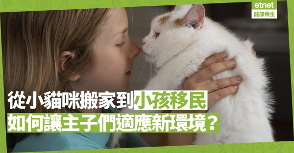 從小貓咪搬家到小孩移民：讓主子們適應新環境，事前事後有甚麼準備？