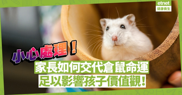 倉鼠棄養潮 | 家長如何安排、交代倉鼠的命運，足以影響子女日後價值觀！