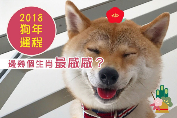 【2018威威嘅生肖】兔仔行大運、馬仔時運高，蛇仔蛇女好風騷