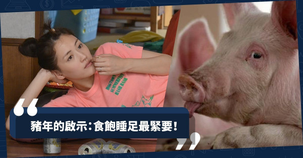 亥字多重義，豬年驚駭事