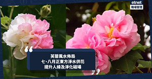 人氣文章