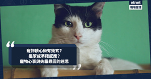 人氣文章